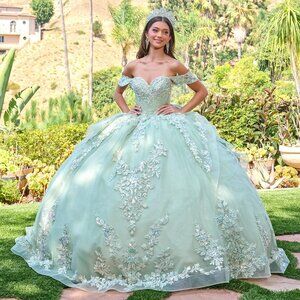 New Sage Tulle Ceremonial Gown w/ Sequins Embroidery & Layered Skirt GL3815
